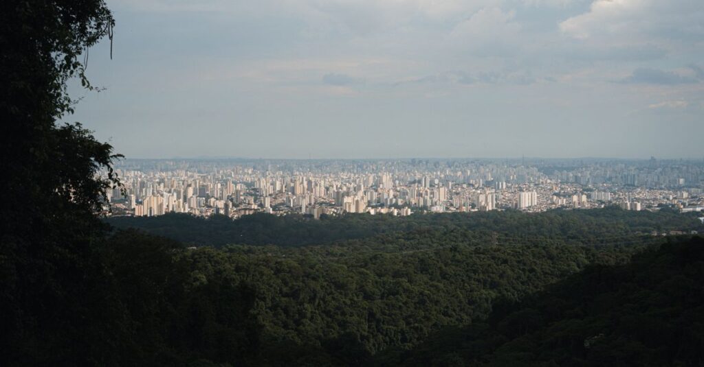 Expansive city skyline view with dense green forest in the foreground under a cloudy sky.