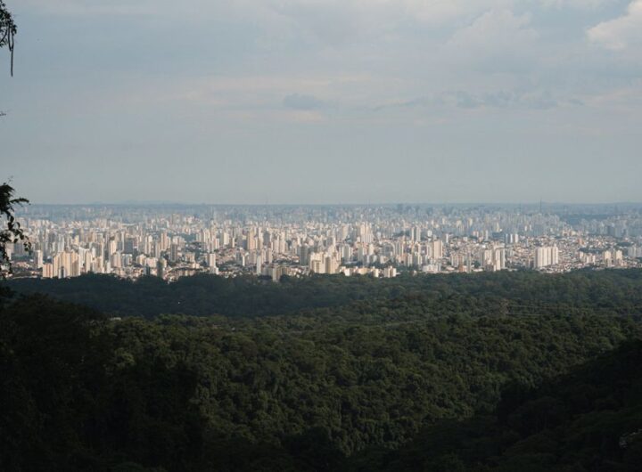 Expansive city skyline view with dense green forest in the foreground under a cloudy sky.