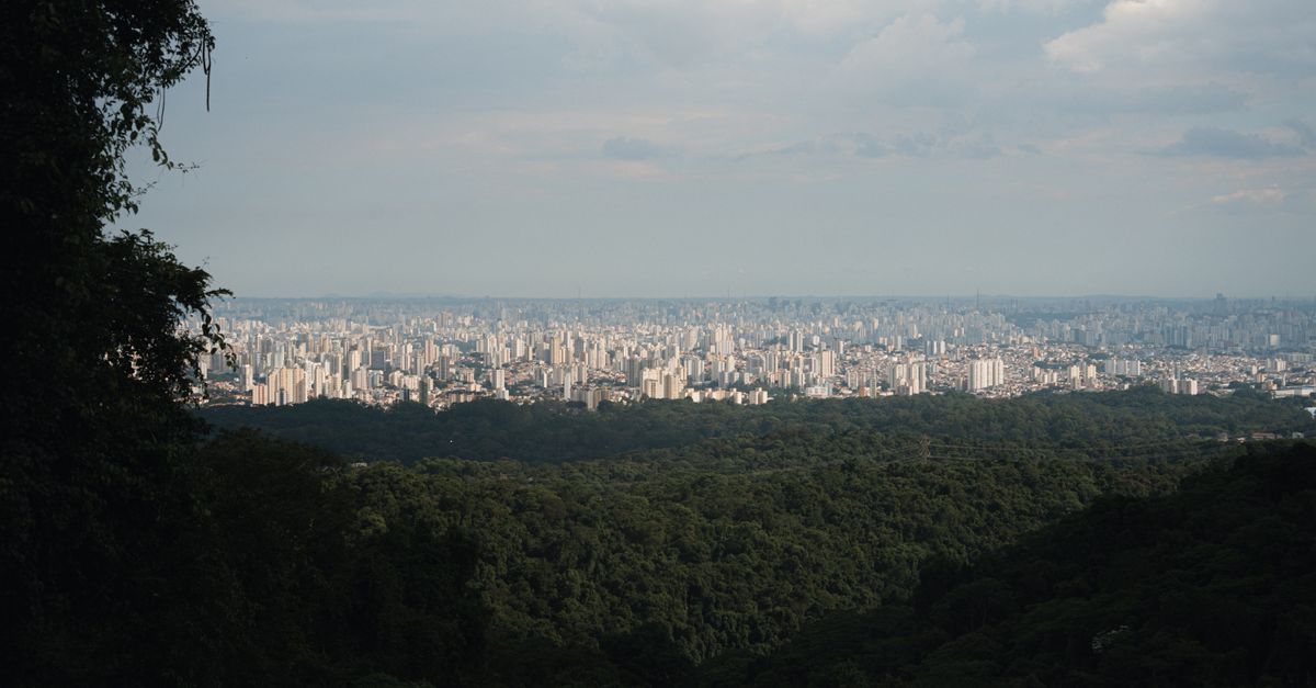 Expansive city skyline view with dense green forest in the foreground under a cloudy sky.